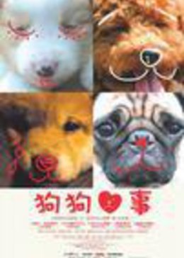 狗狗心事