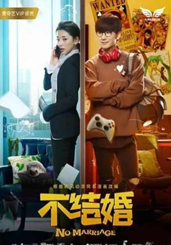 不结婚2017