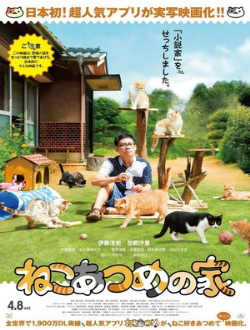 猫咪后院之家/