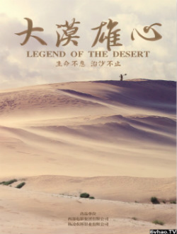大漠雄心