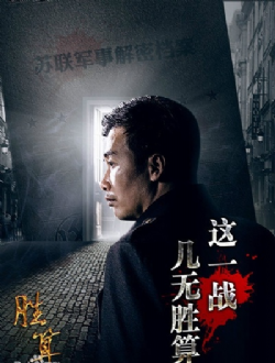 胜算电视剧