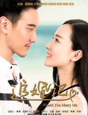 追婚记