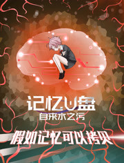 记忆U盘