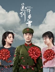 你迟到的许多年