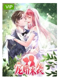 宠婚来袭