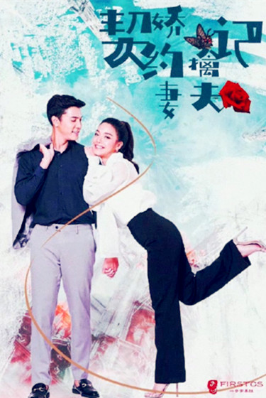 契约娇妻擒夫记