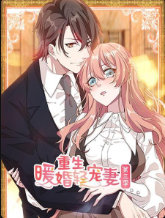 重生暖婚轻宠妻第三季