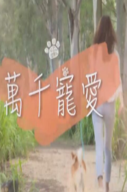 万千宠爱