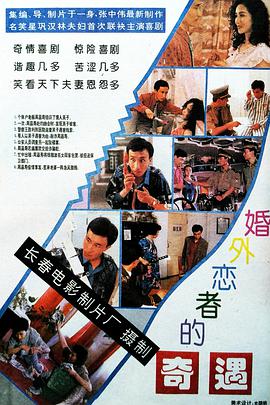 婚外恋者的奇遇高清修复