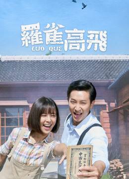 罗雀高飞2015