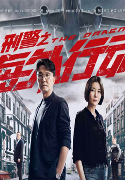 刑警之海外行动