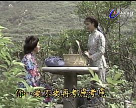 向太阳挑战