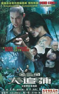 大追捕 [2009]