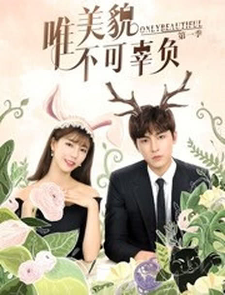 唯美貌不可辜负第1季