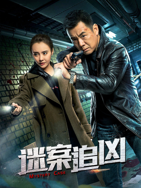 迷案追凶