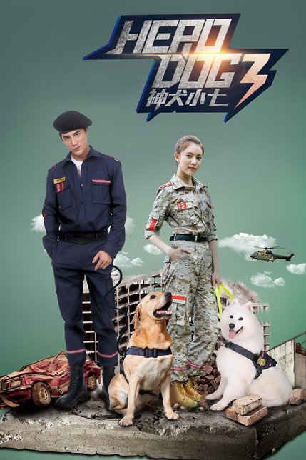 神犬小七第3季