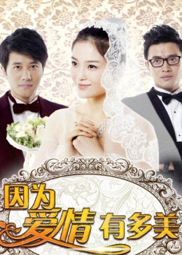 因为爱情有多美[D]